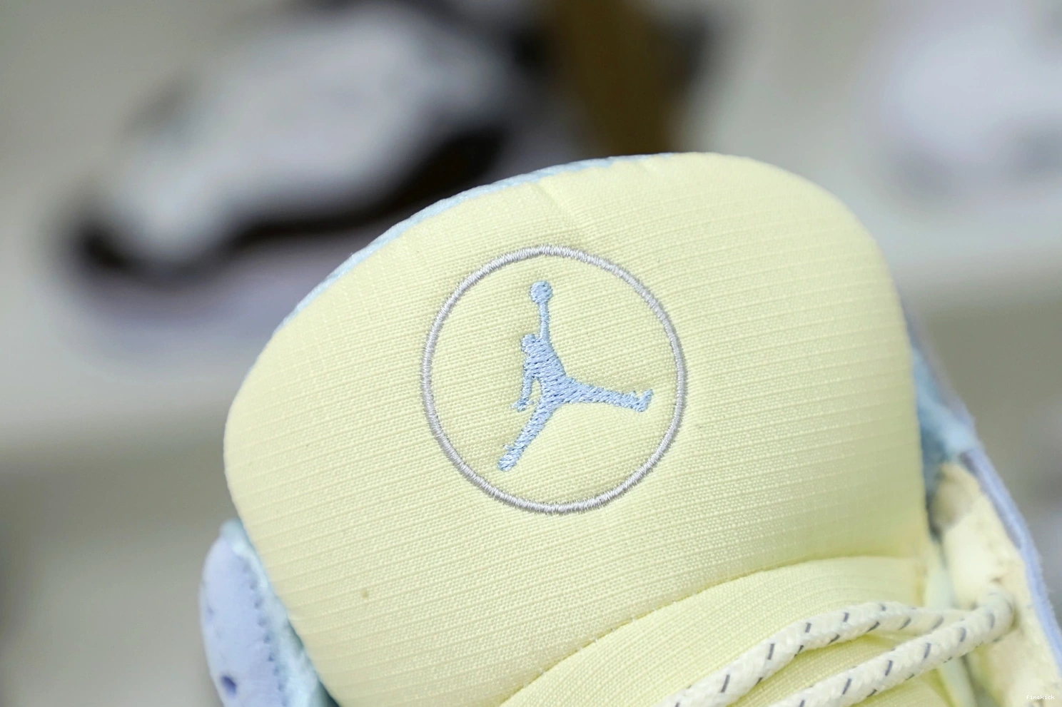 13 JORDAN AIR SOLEFLY AIR JORDAN 1004